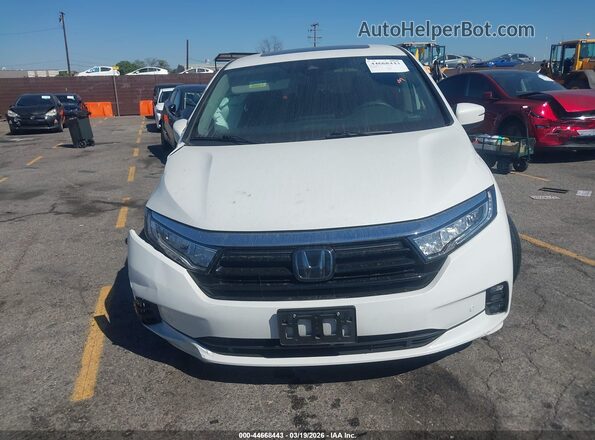 5FNRL6H8XPB022207 2023 HONDA ODYSSEY White 