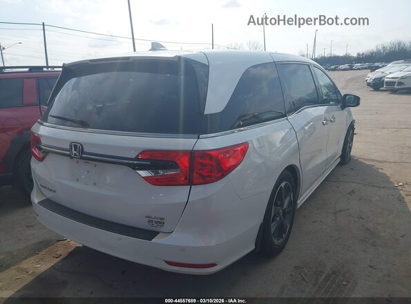 5FNRL6H94MB002457 2021 HONDA ODYSSEY Белый Задняя правая четверть