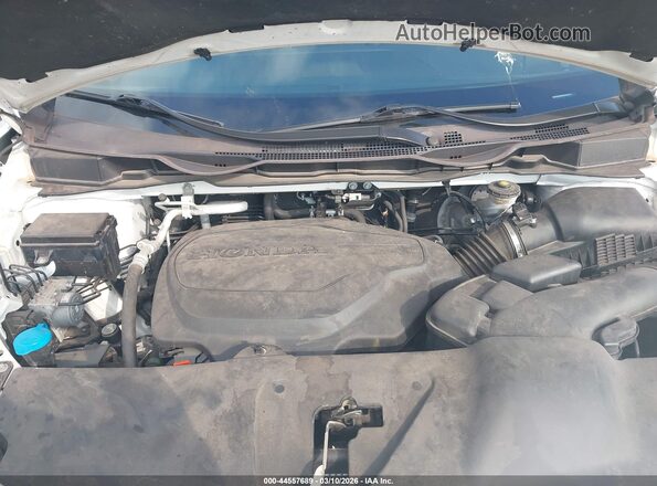 5FNRL6H94MB002457 2021 HONDA ODYSSEY Белый Вид сзади