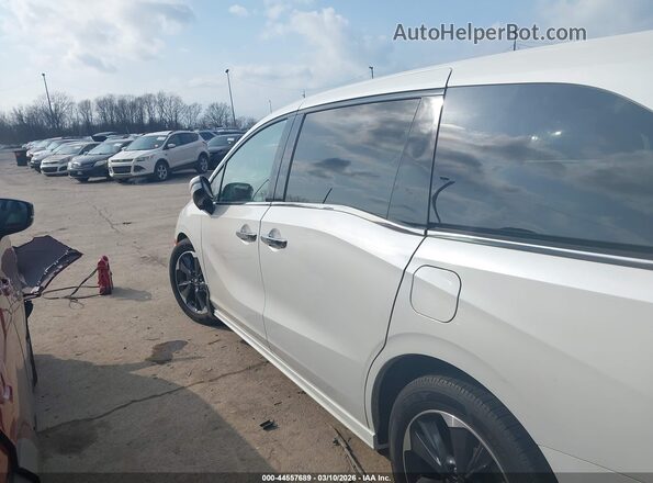 5FNRL6H94MB002457 2021 HONDA ODYSSEY Белый Панорамный вид салона 360°