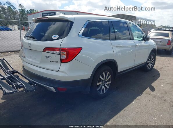 5FNYF6H52KB052612 2019 HONDA PILOT Белый 