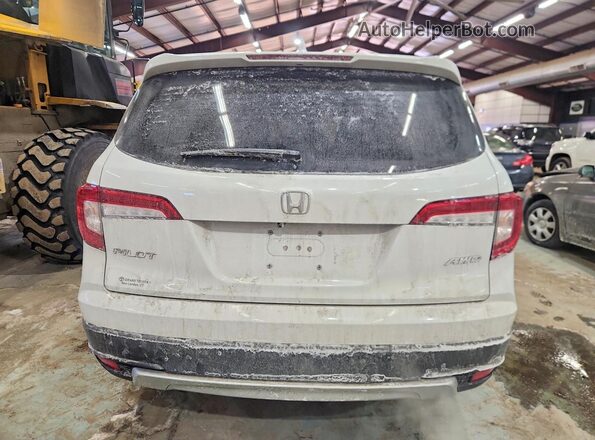5FNYF6H54MB096954 2021 HONDA PILOT White Vista trasera