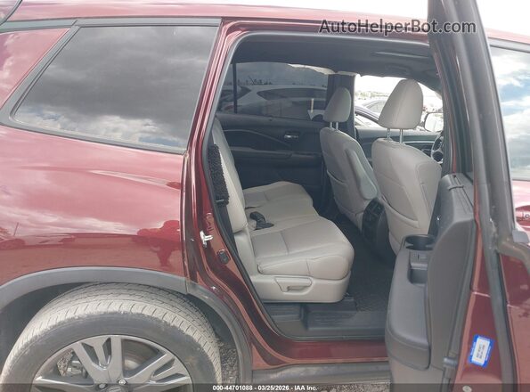 5FNYF7H58MB010356 2021 HONDA PASSPORT Красный 