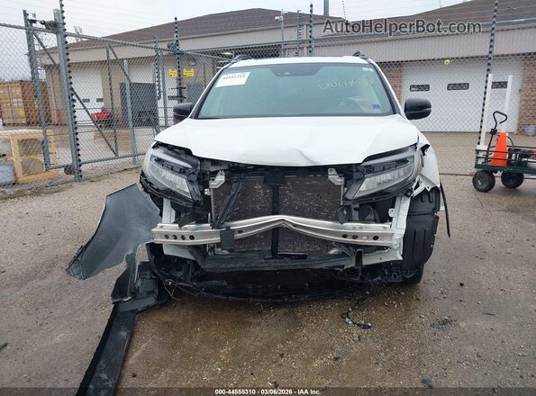 5FNYF8H01MB005297 2021 HONDA PASSPORT White Սալոնի հետևի տեսք
