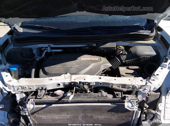 5FNYF8H02KB028066 2019 HONDA PASSPORT White Widok z tyłu