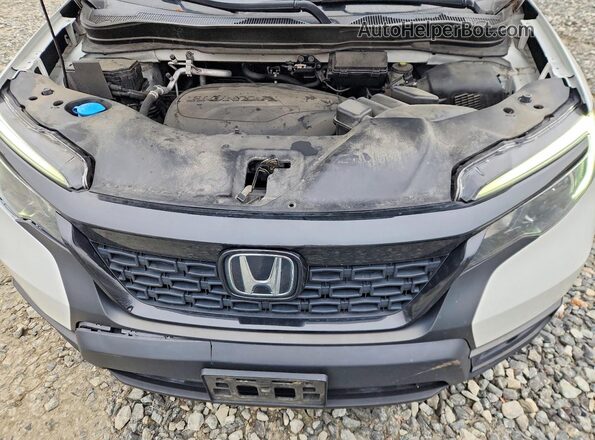 5FNYF8H26MB021285 2021 HONDA PASSPORT White 
