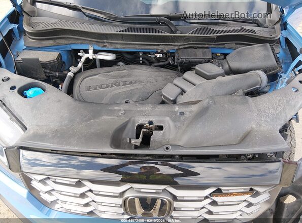 5FNYF8H65RB012569 2024 HONDA PASSPORT Blue 