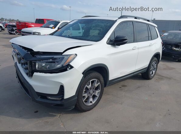 5FNYF8H66PB040524 2023 HONDA PASSPORT White 
