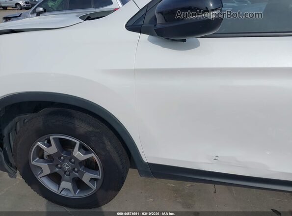 5FNYF8H66PB040524 2023 HONDA PASSPORT White 