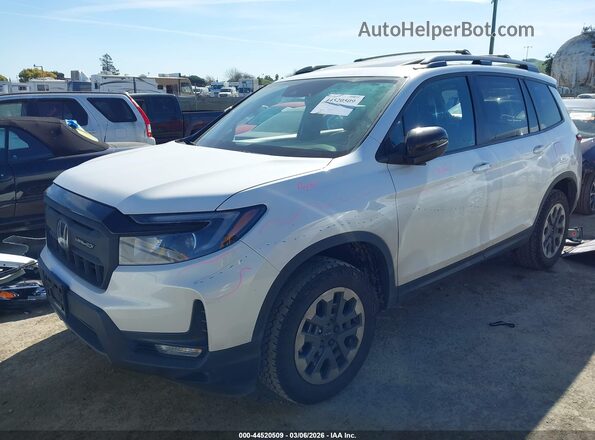 5FNYF8H6XRB019386 2024 HONDA PASSPORT White 