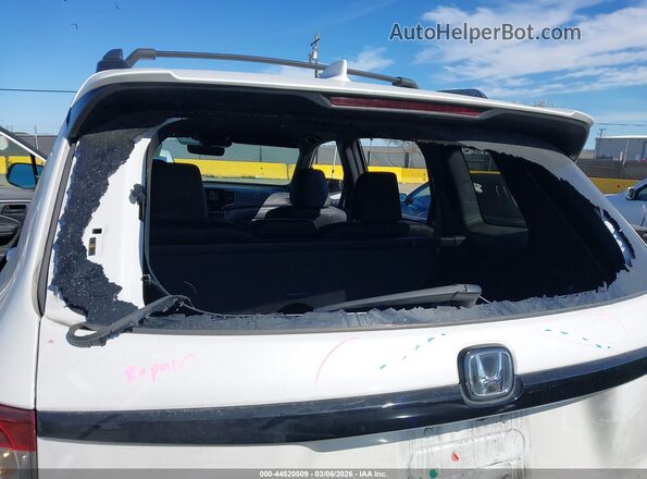 5FNYF8H6XRB019386 2024 HONDA PASSPORT White 