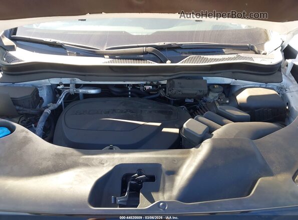 5FNYF8H6XRB019386 2024 HONDA PASSPORT White 
