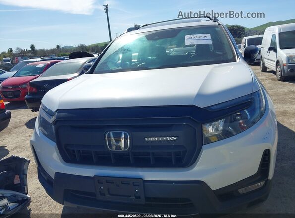 5FNYF8H6XRB019386 2024 HONDA PASSPORT White 