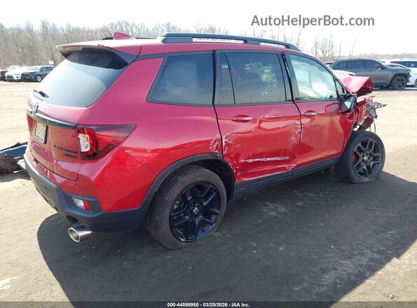 5FNYF8H86RB018219 2024 HONDA PASSPORT Red Trasero derecho