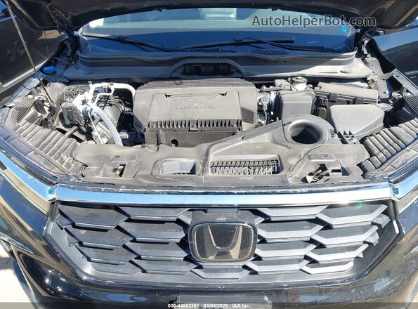 5FNYG2H49RB009148 2024 HONDA PILOT Черный Вид сзади