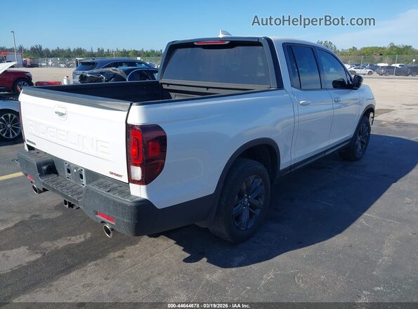 5FPYK3F11RB025008 2024 HONDA RIDGELINE Белый Задняя правая четверть