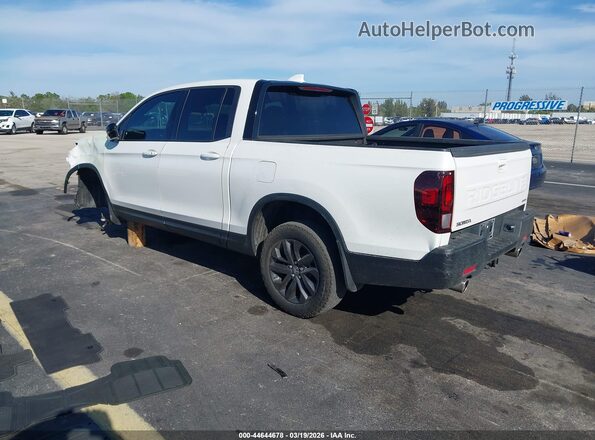5FPYK3F11RB025008 2024 HONDA RIDGELINE Белый Задняя левая четверть
