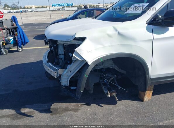 5FPYK3F11RB025008 2024 HONDA RIDGELINE Белый Вид спереди