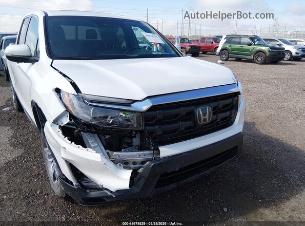 5FPYK3F53RB014806 2024 HONDA RIDGELINE White წინა ხედი