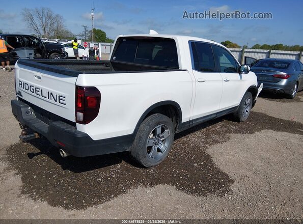 5FPYK3F53RB014806 2024 HONDA RIDGELINE White უკანა მარჯვენა