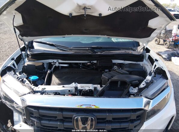 5FPYK3F53RB014806 2024 HONDA RIDGELINE White უკანა ხედი