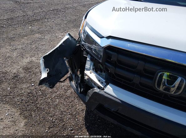 5FPYK3F53RB014806 2024 HONDA RIDGELINE White 