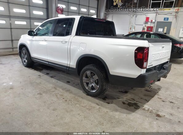 5FPYK3F61RB012013 2024 HONDA RIDGELINE White Задня ліва чверть