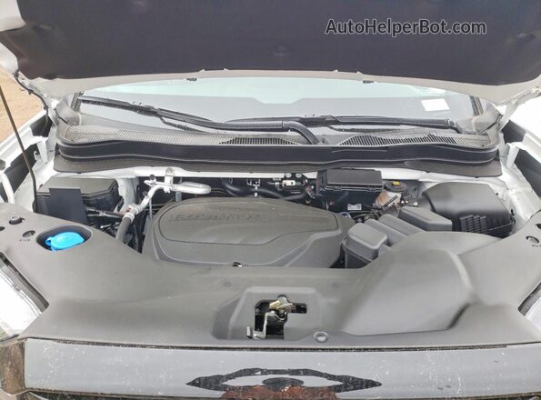 5FPYK3F84TB008627 2026 HONDA RIDGELINE White 