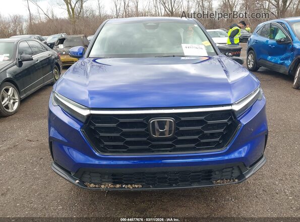 5J6RS4H70RL010558 2024 HONDA CR-V Blue 