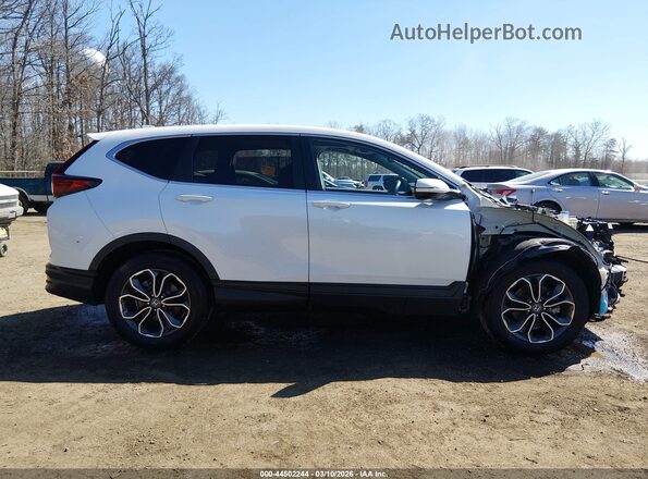 5J6RW2H51MA004036 2021 HONDA CR-V White Սալոնի հետևի տեսք