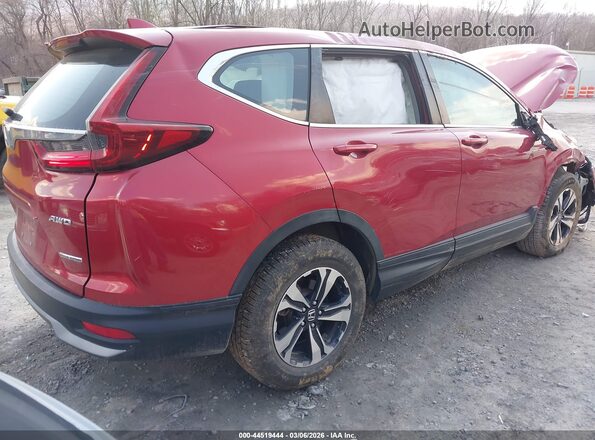 5J6RW2H73ML026707 2021 HONDA CR-V Red უკანა მარჯვენა