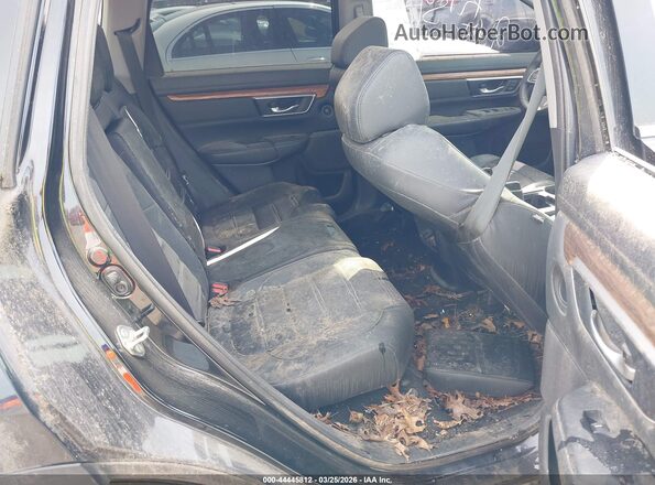 5J6RW2H89KL033568 2019 HONDA CR-V Black Widok naklejki z numerem VIN