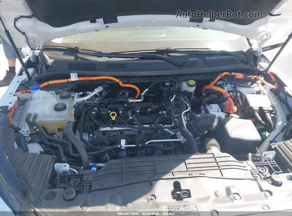 5LMTJ5DZXSUL13299 2025 LINCOLN CORSAIR White Widok z tyłu