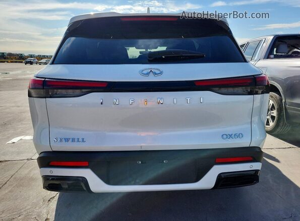 5N1AL1FR4SC338327 2025 INFINITI QX60 White Вид ззаду