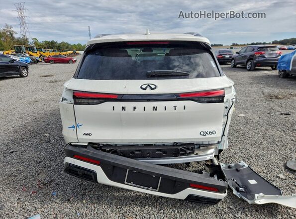 5N1AL1FS5SC343748 2025 INFINITI QX60 White Հետևի տեսք