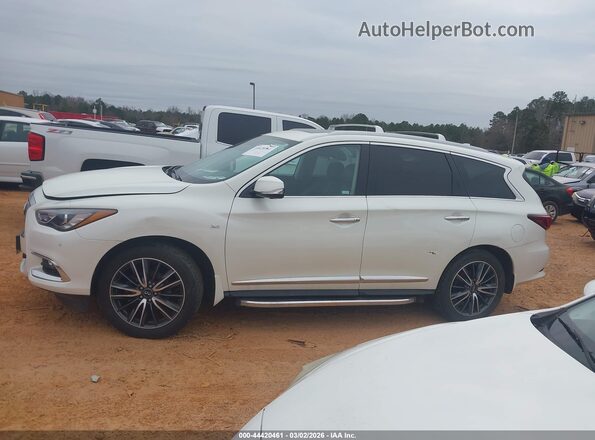 5N1DL0MM4KC511391 2019 INFINITI QX60 White 
