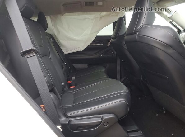 5N1DL1GS0PC331235 2023 INFINITI QX60 White Rear interior view