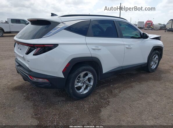 5NMJBCAE3PH237019 2023 HYUNDAI TUCSON White Задня права чверть