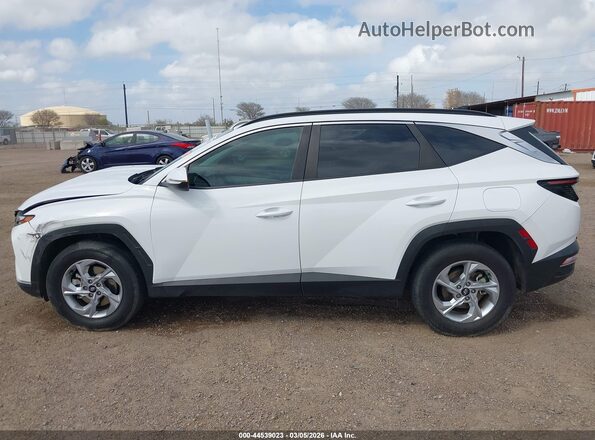 5NMJBCAE3PH237019 2023 HYUNDAI TUCSON White Панорамний вид салону 360°