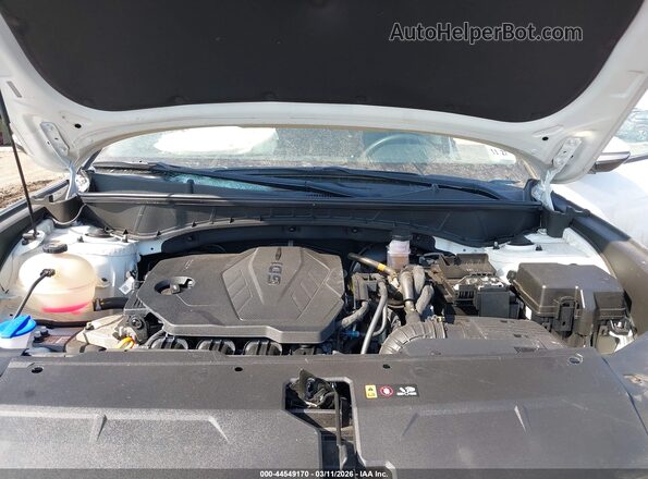 5NMJBCAE9PH186853 2023 HYUNDAI TUCSON Белый Вид сзади