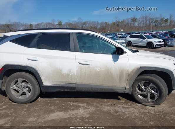 5NMJBCAE9PH186853 2023 HYUNDAI TUCSON Белый Панорамный вид салона 360°