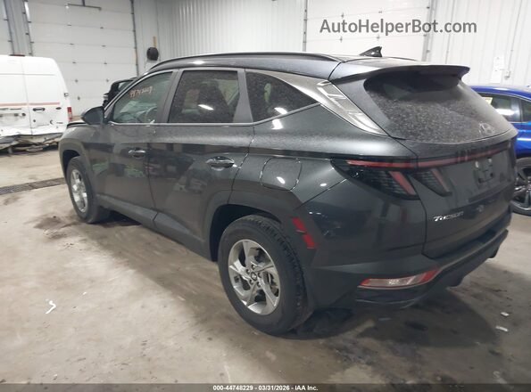 5NMJBCAEXPH209816 2023 HYUNDAI TUCSON Gray Rear left