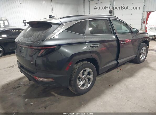 5NMJBCAEXPH209816 2023 HYUNDAI TUCSON Gray Rear right
