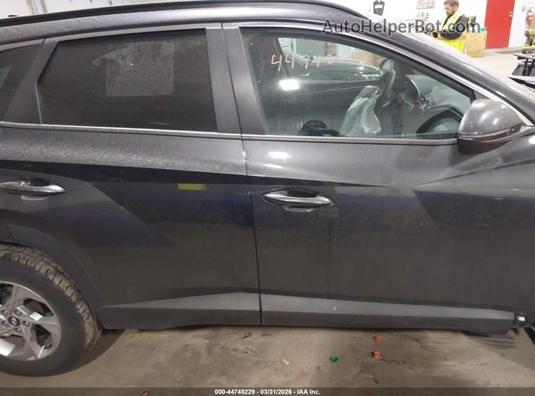 5NMJBCAEXPH209816 2023 HYUNDAI TUCSON Gray Rear interior view