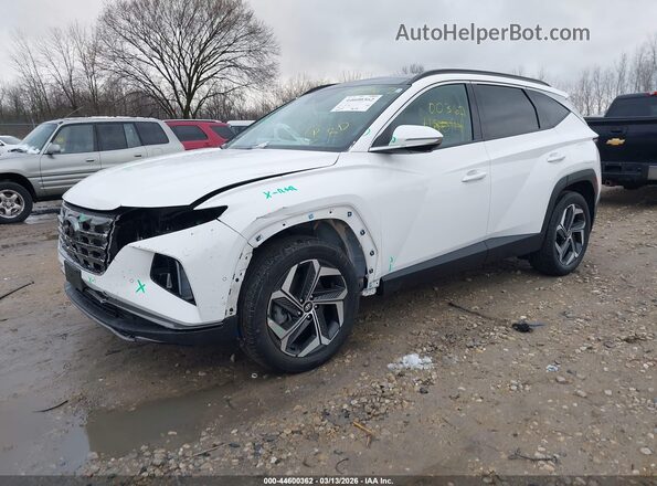 5NMJECAE2PH209476 2023 HYUNDAI TUCSON Белый 