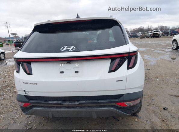5NMJECAE2PH209476 2023 HYUNDAI TUCSON Белый 