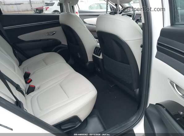 5NMJECAE2PH209476 2023 HYUNDAI TUCSON Белый 