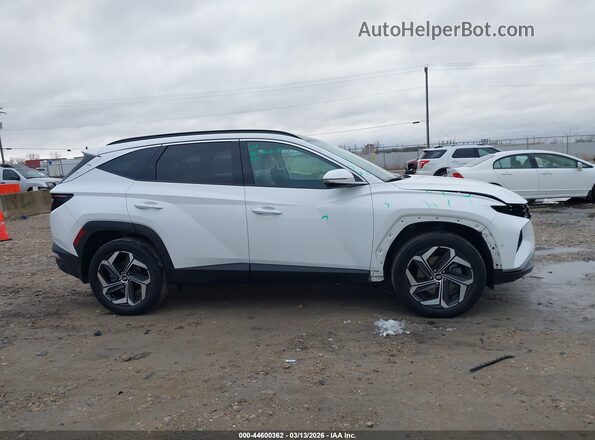 5NMJECAE2PH209476 2023 HYUNDAI TUCSON Белый 