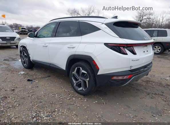 5NMJECAE2PH209476 2023 HYUNDAI TUCSON Белый 