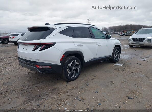 5NMJECAE2PH209476 2023 HYUNDAI TUCSON Белый 